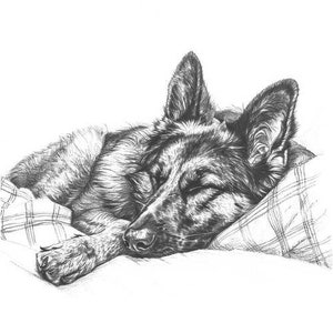 Clipart pastore tedesco, disegni di schizzi, download digitale, arte murale, clipart cane pastore tedesco, pittura, clipart cane, clipart GSD