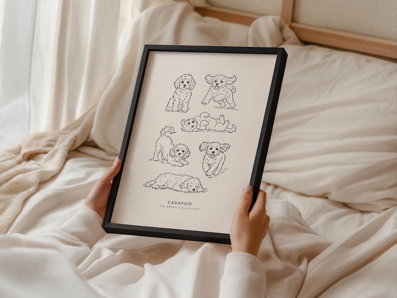 May include: A black framed print featuring six black line art illustrations of Cavapoo dogs in various poses on a cream background. The text at the bottom reads CAVAPOO THE BREED COLLECTION in a simple sans-serif font, showcasing the dogs sitting, running, rolling, playing, and sleeping.