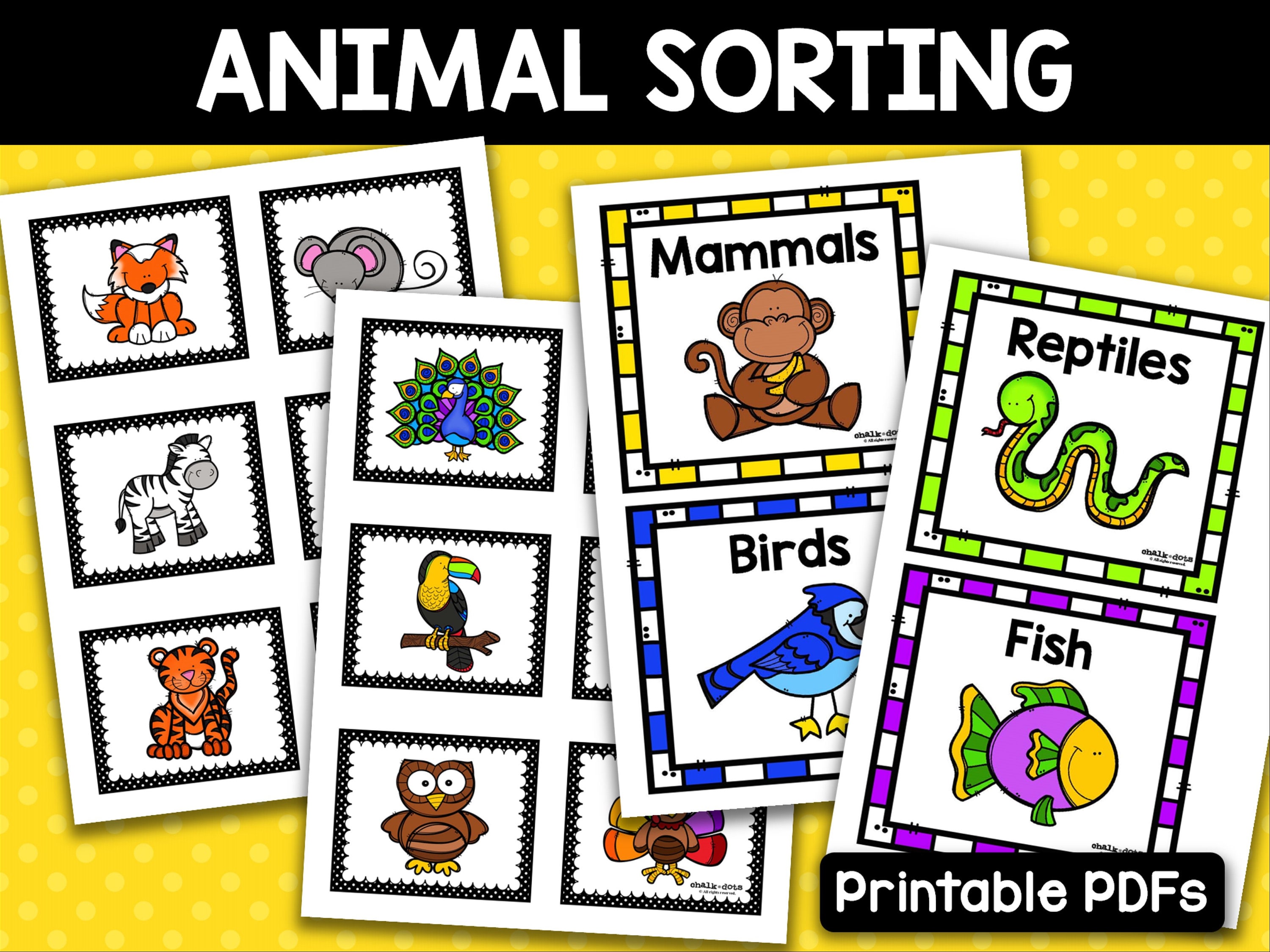 Animal Sort Animal Classification Sorting Activity | Etsy