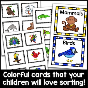 Animal Sort, Animal Classification Sorting Activity, Vertebrates Sort ...