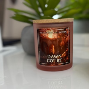 ACOTAR Inspired A Court of Thornes and Roses Courts Candle Collection Pet Friendly | Bookish Gift Dawn Court