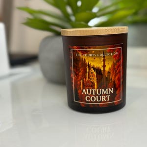 ACOTAR Inspired A Court of Thornes and Roses Courts Candle Collection Pet Friendly | Bookish Gift image 9