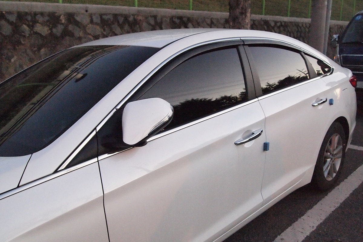 Hyundai sonata rain sale guards