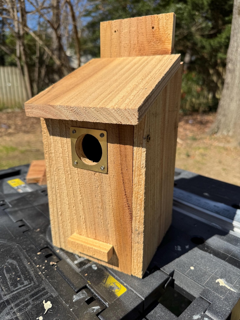 Cedar Bird House: Weather-resistant Haven With Predator Plate - Etsy