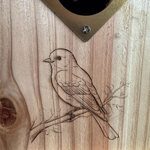 Cedar Bird House: Shou Sugi Ban Roof, Engraved Bluebird, Antiqued Accents