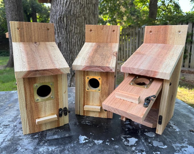 Cedar Bird House: Weather-Resistant Garden Decor (12x6 Inches)