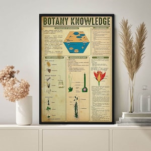 Tuin Plantkunde Kennis Poster, Tuin Plantkunde Poster, Plantkunde Art Print, Plant Wall Art Canvas, Plantkunde Gift, Plantkunde Minnaar Geschenken