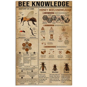 Honey Bee Knowledge Poster, Vintage Poster, Retro Poster, bee wall art, bee decor, bee art, bee poster, bee home decor, bee lover gift