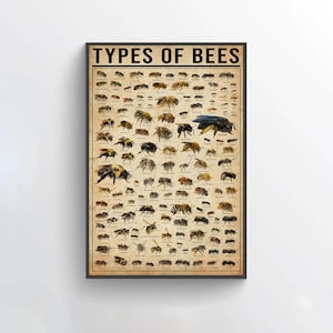 Poster di conoscenza del tipo di api, poster vintage, poster retrò, arte della parete delle api, arredamento delle api, arte delle api, poster delle api, arredamento per la casa delle api, regalo per gli amanti delle api