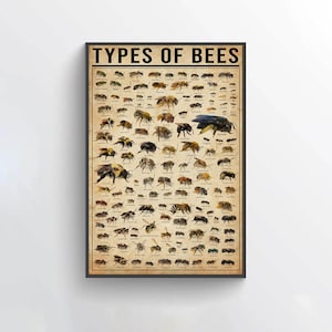 Type Of Bees Knowledge Poster, Vintage Poster, Retro Poster, bee wall art, bee decor, bee art, bee poster, bee home decor, bee lover gift