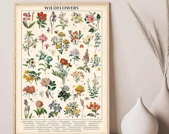 Vintage Wildflowers Poster, Botanical Wall Art Prints, Flower Chart Poster, Wildflower Lovers Gift, Colorful Rustic Style of Floral Wall