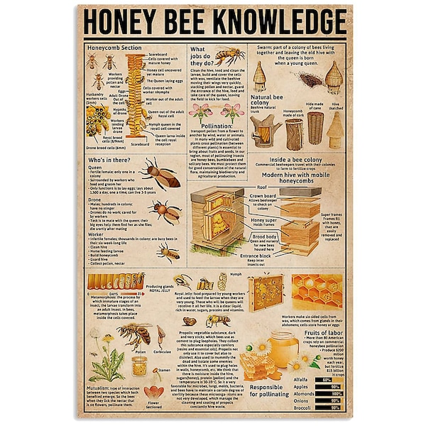 Honey Bee Knowledge Poster, Vintage Poster, Retro Poster, bee wall art, bee decor, bee art, bee poster, bee home decor, bee lover gift