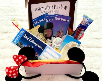 Disney Gift Box, Trip Reveal, Surprise Disney Vacation, Activity Box