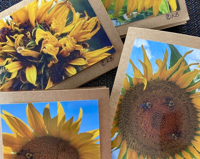 Montana Wild and Garden Sunflower Photo Greeting Cards
