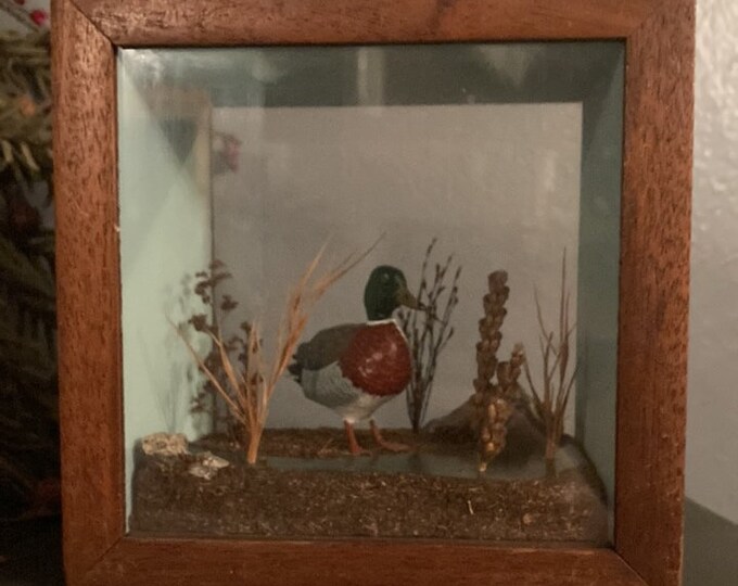 Vintage Wood Framed Glass Shadowbox with Mallard Duck and Pond Scene