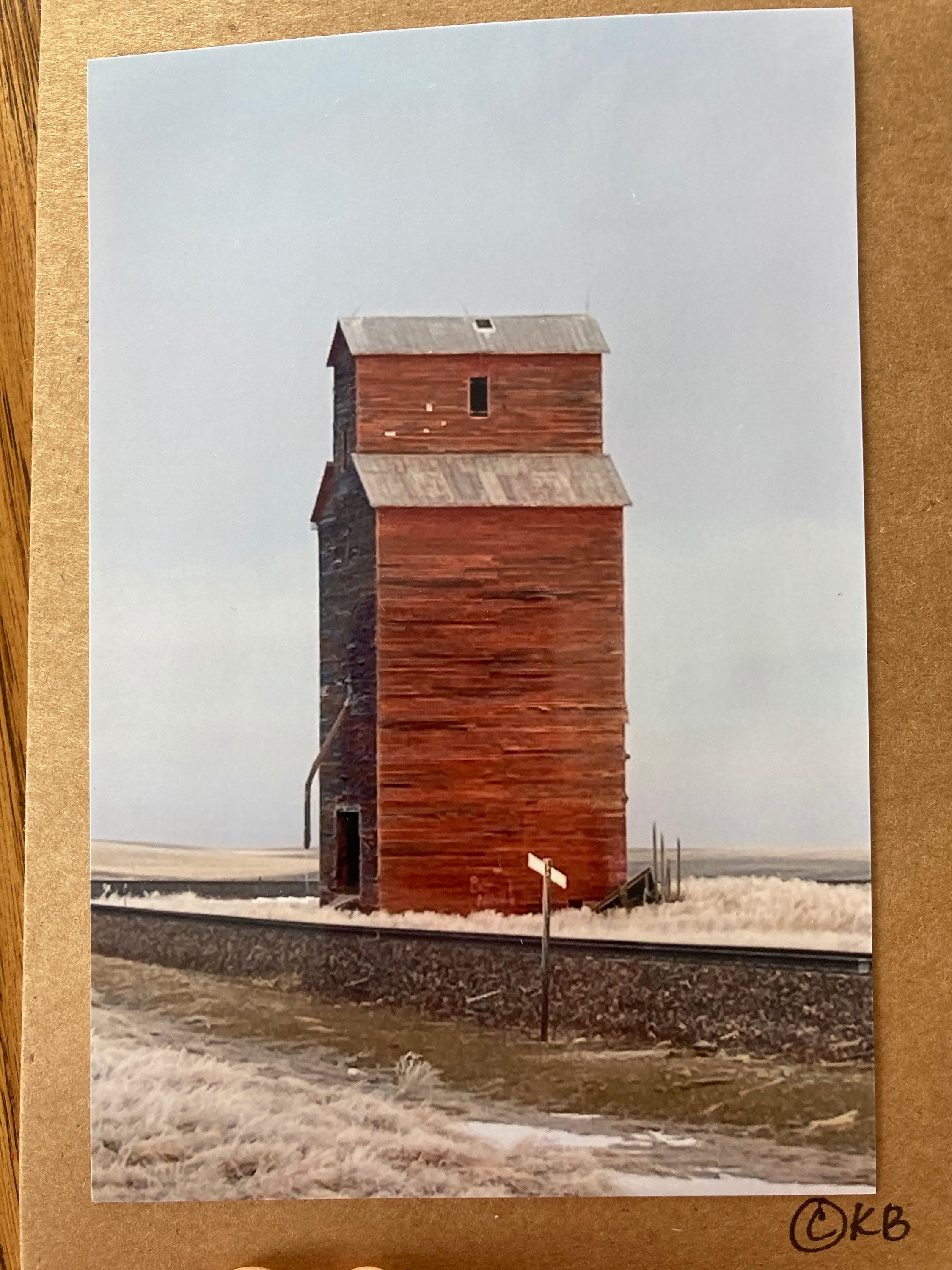 gallery photo