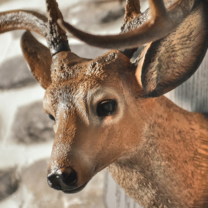 Deer Head Statue Wall Decor Sculpture Deer Antlers Jewelry Etsy