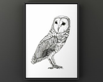 Barn Owl Print | Ink Wall Sign | Wildlife Print | Nature Print | Housewarming Gift | Wall Art | Owl Gift | Hard Copy | 4x6", 5x7", 8x10"