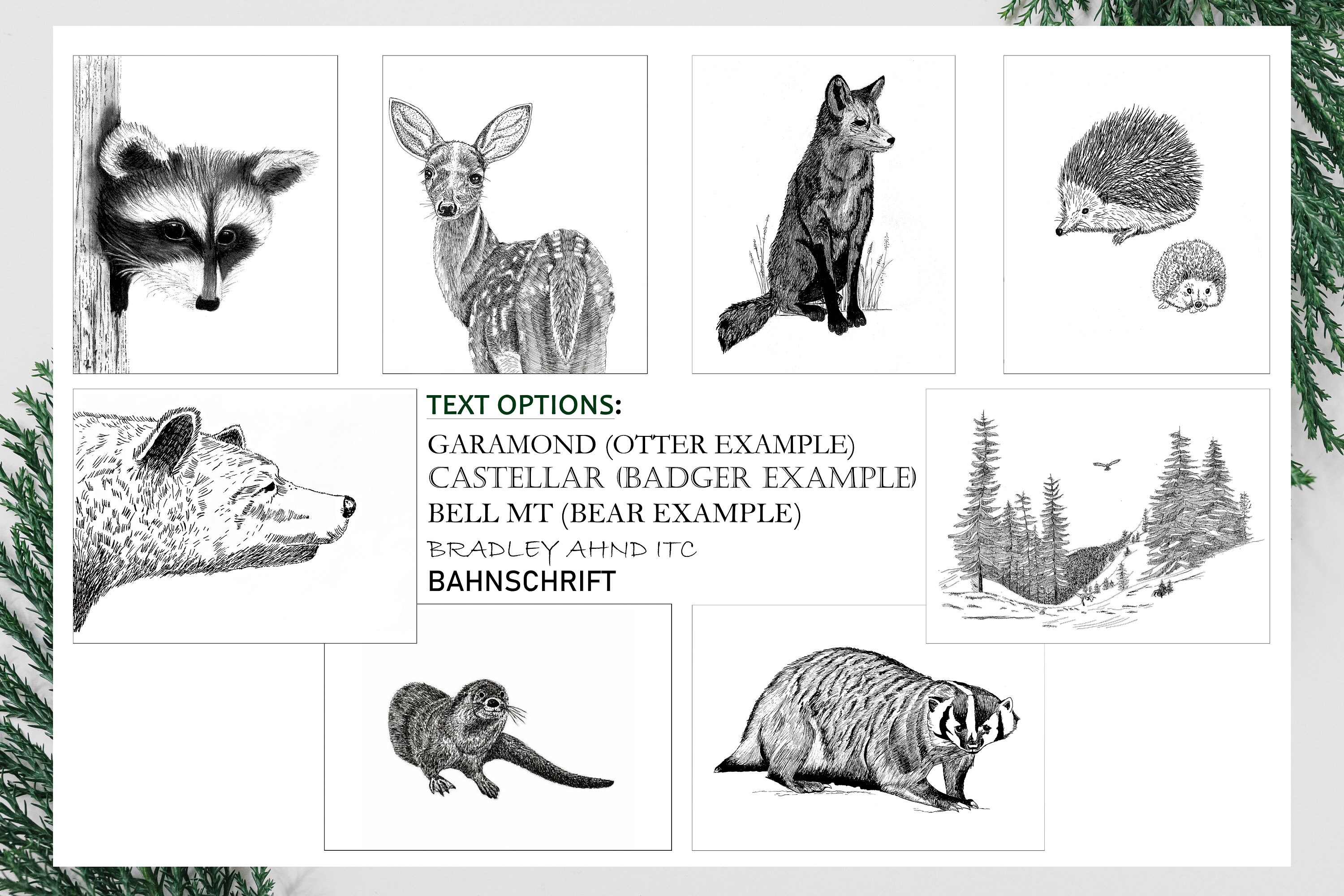 Nature Themed Greeting Cards Nature Cards Personalized - Etsy.de