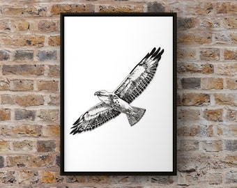 Red Tailed Hawk Print | Ink Wall Sign | Wildlife Print | Nature Print | Housewarming Gift | Wall Art | Hawk Gift | Hard Copy | 4x6, 5x7 8x10