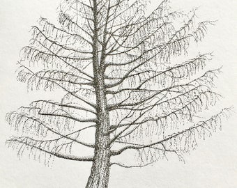 Tree Drawing Art Print