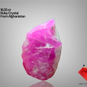 Puede incluir: Un vibrante cristal de rubí rosa de Afganistán, con un peso de 16,35 ct. La gema tiene una textura rugosa y natural con áreas de color rosa y blanco más claras. La imagen incluye el texto "16.35 ct Ruby Crystal From Afghanistan".