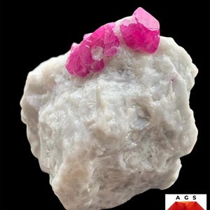 Puede incluir: Un espécimen de rubí de 395 ct con estructuras cristalinas de color rojo rosado intenso incrustadas en una matriz mineral blanca opaca y rugosa. El texto 395 ct Ruby Specimen aparece en la parte superior, con un logo A G S abajo a la derecha.