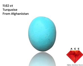11.62-Carat Afghan Turquoise: A Compact Gem of Rich Color and Elegance