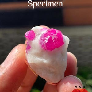 Pode incluir: Um espécime de rubi de 90 ct com estruturas cristalinas rosa vibrante incrustadas numa matriz mineral branca opaca e rugosa. O texto 90 ct Ruby Specimen é visível no topo e o logótipo A G S no canto inferior direito.