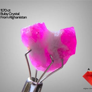 Puede incluir: Un vibrante cristal de rubí rosa de Afganistán, sostenido por un soporte metálico. La gema tiene una forma rugosa e irregular con una mezcla de tonos rosas y blancos. El texto en la imagen dice "11.70 ct Ruby Crystal From Afghanistan."