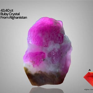 May include: A vibrant, raw ruby crystal from Afghanistan, weighing 43.40 carats. The gemstone displays a striking pink hue with lighter and darker areas, and a touch of brown at the base. The image includes text that reads "Ruby Crystal From Afghanistan".
