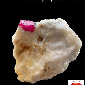 Pode incluir: Um espécime de rubi de 270 ct com um cristal vermelho-rosado vibrante incrustado numa matriz mineral grande e irregular de cor branco-sujo e creme com inclusões castanhas. O texto 270 ct Ruby Specimen aparece no topo.