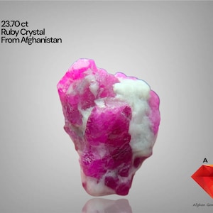 Puede incluir: Cristal de rubí en bruto de 23,70 ct de Afganistán. La gema presenta una llamativa mezcla de tonos rosa brillante y blanco. La imagen también incluye el logotipo de Afghan Gemstone Source.