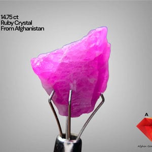 Puede incluir: Un vibrante cristal de rubí rosa de Afganistán, con un peso de 14,75 quilates, se sostiene con un soporte metálico. La gema tiene una textura rugosa y natural y se muestra sobre un fondo gris claro. El texto en la imagen dice "14.75 ct Ruby Crystal From Afghanistan."