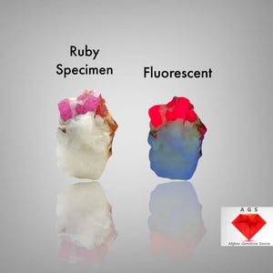 Può includere: Un confronto affiancato di un campione di rubino sotto luce normale e sotto una lampada UV. Il campione di rubino è un gruppo di cristalli rosa su una matrice bianca. Sotto luce UV, il rubino fluoresce di un colore rosso brillante.