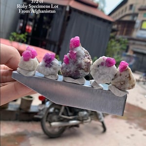 372 Carat Afghan Ruby Specimens – Majestic Natural