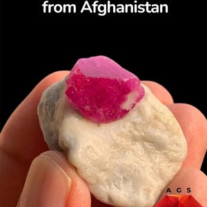 Pode incluir: Um espécime de rubi de 153 ct do Afeganistão com uma estrutura cristalina vibrante de cor vermelho-rosado profundo incrustada numa matriz mineral branca opaca e texturizada. O texto 153 ct Ruby Specimen from Afghanistan é exibido acima.