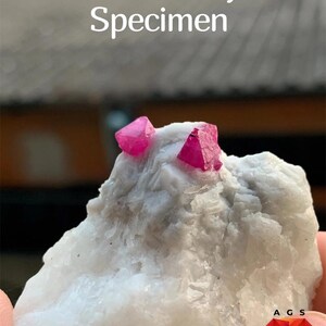 Pode incluir: Um espécime de rubi de 277 ct com dois cristais de rubi vermelho-rosados vibrantes incrustados numa matriz cristalina branca e rugosa. O texto 277 ct Ruby Specimen é visível no topo, e um logótipo A G S com Afghan Gemstone Source na base.