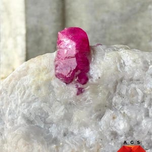 May include: A 745 ct ruby specimen from Afghanistan featuring a vibrant, deep pinkish-red crystalline structure embedded within a textured, translucent white mineral matrix. The text 745 ct Ruby Specimen from Afghanistan is visible at the top.