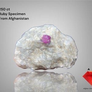 Puede incluir: Se muestra un espécimen de rubí de Afganistán, de 250 ct. El rubí rosa brillante está incrustado en una formación rocosa blanca y texturizada. También aparece el texto "250 ct Ruby Specimen From Afghanistan".