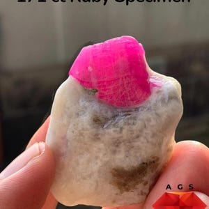 Könnte beinhalten: Ein 171 ct Rubin-Exemplar mit einer leuchtend pinken Kristallstruktur, die in eine texturierte, cremeweiße Mineralmatrix eingebettet ist. Der Text 171 ct Ruby Specimen ist oben zu sehen, mit A G S und Afghan Gemstone Source darunter.