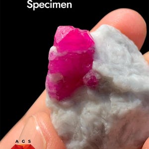 Pode incluir: Um espécime de rubi de 96 ct com uma estrutura cristalina rosa vibrante e profunda incrustada numa matriz mineral branca, opaca e rugosa. O texto 96 ct Ruby Specimen, um logótipo A G S e Afghan Gemstone Source são visíveis.