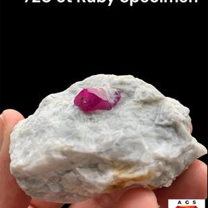 Pode incluir: Um espécime de rubi de 720 ct com um cristal vermelho-rosado vibrante e profundo incrustado numa matriz mineral rugosa, texturizada e cinzento-clara. O texto 720 ct Ruby Specimen é visível no topo e um logótipo A G S na base.