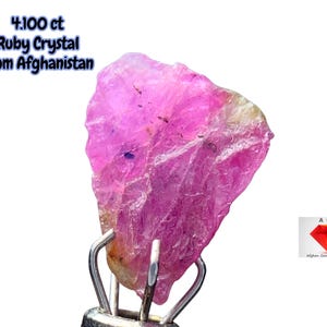May include: A raw, pink ruby crystal from Afghanistan, held by a metal clamp. The gemstone is a vibrant pink with some lighter areas and a few dark spots. Text at the top reads "4.100 ct Ruby Crystal From Afghanistan."
