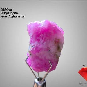 Puede incluir: Un vibrante cristal de rubí rosa de Afganistán, con un peso de 25,60 ct. La gema en bruto se sostiene con un soporte metálico, mostrando su forma natural irregular y variaciones de color. La imagen incluye el texto "25.60 ct Ruby Crystal From Afghanistan."