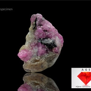 Pode incluir: Close-up de uma amostra de rubi rosa com cristais de turmalina preta. O rubi está em estado bruto, natural e tem um brilho vítreo. A amostra está sobre um fundo preto. "Ruby specimen" está escrito em branco na parte superior da imagem. "AGS Afghan Gemstone Source" está escrito em branco na parte inferior da imagem.