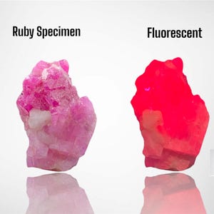 Pode incluir: Dois espécimes de rubi, um à luz natural e o outro sob uma lâmpada UV. O rubi sob a lâmpada UV brilha com um vermelho intenso.