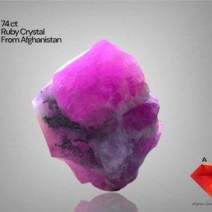 Puede incluir: Un vibrante cristal de rubí en bruto de Afganistán. La gema es de color rosa intenso con áreas moradas y negras. El texto dice "74 ct Ruby Crystal From Afghanistan."