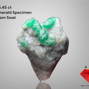 Op de afbeelding: Een smaragd exemplaar uit Swat, Pakistan, met een gewicht van 85,45 ct. De ruwe steen heeft heldergroene smaragdkristallen op een matrix van grijs en wit gesteente. De afbeelding bevat de tekst "Emerald Specimen From Swat".