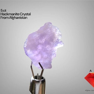 Puede incluir: Un cristal de Hackmanita de 5 ct de Afganistán, sostenido por una herramienta de metal. El cristal es de color púrpura claro y tiene una forma rugosa e irregular. El texto en la imagen dice "5 ct Hackmanite Crystal From Afghanistan".